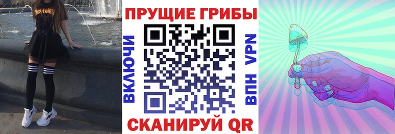 mega ТОР  Лермонтов  Галлюциногенные грибы MAGIC MUSHROOMS  купить  цена 